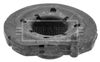 BSM5389_213204.JPG