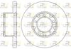 6296-00-MODEL.BMP