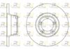 6253-00-MODEL.BMP