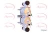 APEC Brake Caliper RCA335
