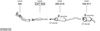 SYS02133.JPG