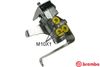 R61019.JPG