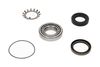Комплект подшипника ступицы колеса KAVO PARTS WBK-5508