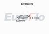 ecvo5023ta.JPG