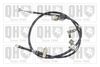 QH_BC4308.JPG