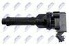ECZ-TY-008_3-WM.JPG