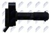 ECZ-FR-030_3-WM.JPG