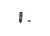 Bosch Nozzle and Holder Assembly 0986430245