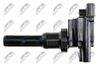 ECZ-MS-012_3-WM.JPG