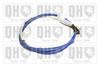 QH_BC3997.JPG
