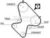 4196_001.BMP