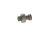 BOSCH Ritzel - 2006209444