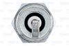 VALEO_SPARK_PLUG_246864_03.JPG