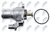 CTM-FT-007_3-WM.JPG