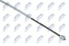 HLR-CT-010_3-WM.JPG