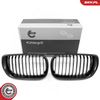 решетка пред радиатора