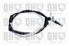 QH_BC3632.JPG
