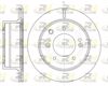 6993-10-MODEL.BMP