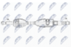 NPW-CH-112_9-WM.PNG