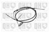 QH_BC2418.JPG