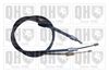 QH_BC3878.JPG