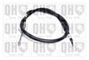 QH_BC3797.JPG