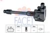 9.6555-fa.JPG