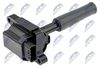 ECZ-LR-009_1-WM.JPG