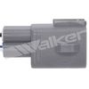 250-54085_4.JPG