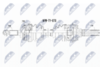 NPW-TY-078_9-WM.PNG