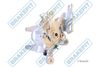 APEC Brake Caliper BCA2282E