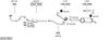 SYS17051.JPG