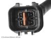 ADC47054_2.JPG