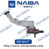 NB-M437.JPG