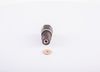 Bosch Fuel Injection System Valve F 00N 201 320
