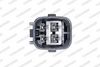 lbs00229_5307770.JPG