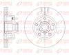 REM61703-10-MODEL.BMP
