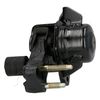 GOM-2770_3.JPG