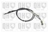 QH_BC4009.JPG