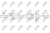 npw-vw-266_9-wm.PNG