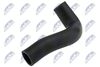 GPP-FT-028_2-WM.JPG