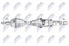 NPW-VV-161_9-WM.PNG