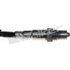 250-25091_2.JPG
