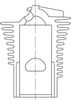 495505.JPG