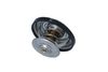 Termostat, chladivo 725216