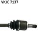 VKJC 7137_3.JPG
