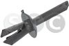 44560.JPG