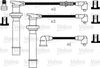MS910.JPG