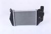 Nissens 96587 Intercooler, charger