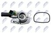 CTM-FT-003_4-WM.JPG